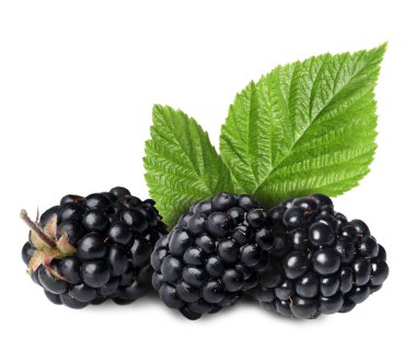 Lezzetli böğürtlen ve yeşil yapraklar beyaz üzerine izole