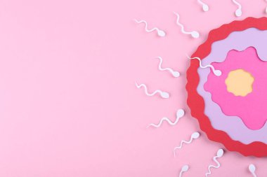 Döllenme konsepti. Pembe zemin üzerinde yumurta hücresine doğru yüzen sperm hücreleri, metin için alanı olan üst görünüm