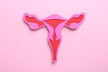Reproductive medicine. Paper uterus on pink background, top view clipart