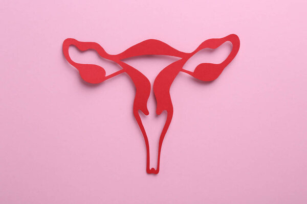 Reproductive medicine. Paper uterus on pink background, top view