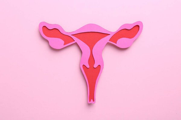 Reproductive medicine. Paper uterus on pink background, top view