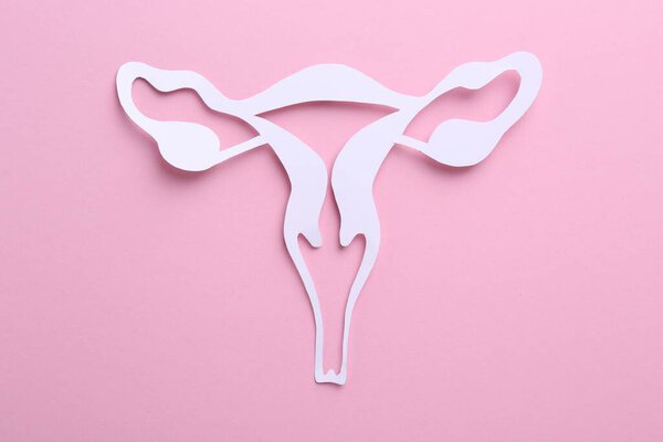 Reproductive medicine. Paper uterus on pink background, top view