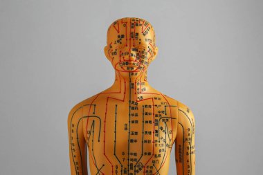 Akupunktur modeli. Gri arkaplanda noktalar ve çizgiler olan manken