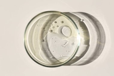 Işık arkaplan üzerinde sıvı örneği olan petri kabı, üst görünüm