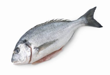 Taze çiğ dorado balığı, beyaza izole edilmiş, üst manzara
