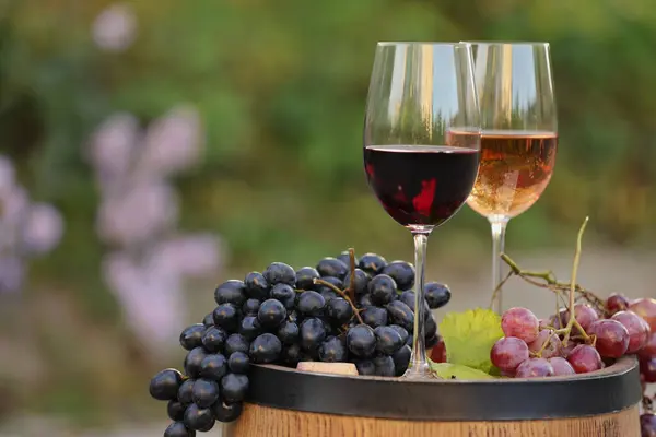 Lezzetli Şaraplar Olgun Üzümler Açık Havada Ahşap Fıçıda Metin Için — Stok fotoğraf