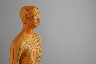 Akupunktur modeli. Gri arkaplan üzerinde nokta ve çizgileri olan manken, metin için boşluk