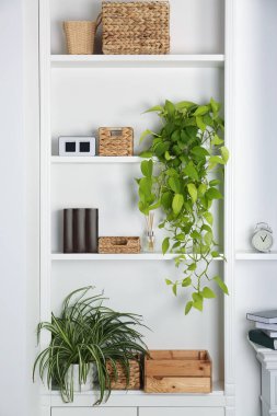 Ev bitkileriyle beyaz raf ünitesi ve odada farklı dekorasyon unsurları. İç tasarım