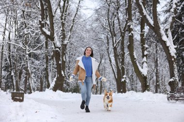 Güzel Pembroke Galli Corgi köpeği olan bir kadın karlı parkta koşuyor.