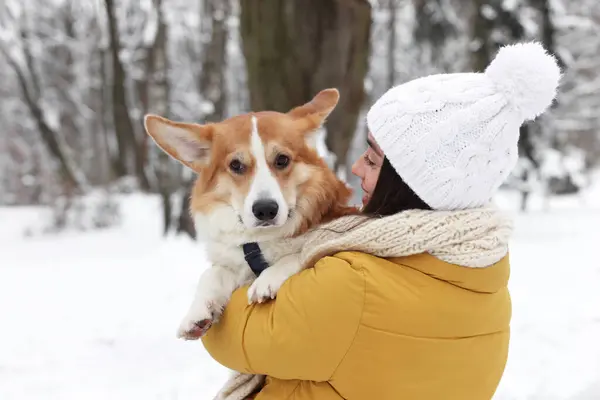 雪の公園で愛らしいペンブロークウェルシュ コルジ犬と女性 — ストック写真