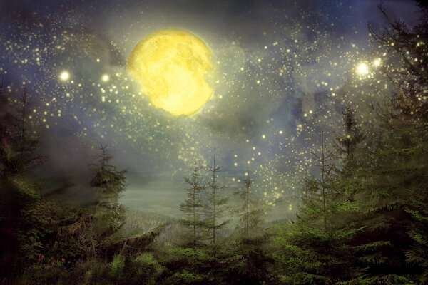 Beautiful full moon in starry sky over forest at night