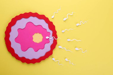 Döllenme konsepti. Sarı zemin üzerinde yumurta hücresine doğru yüzen sperm hücreleri, üst görünüm