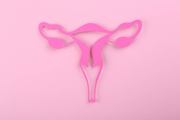 Reproductive medicine. Paper uterus on pink background, top view