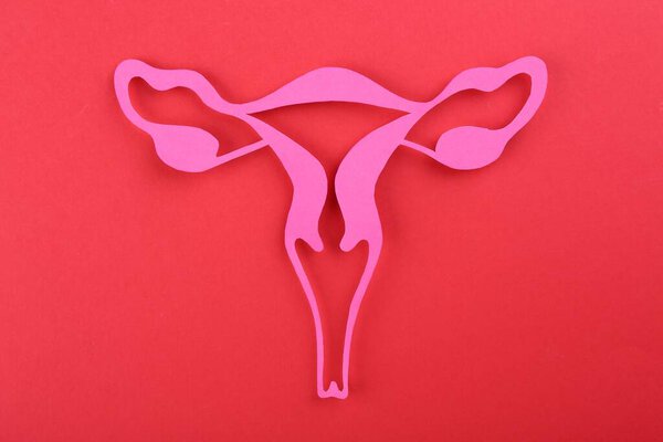 Reproductive medicine. Paper uterus on red background, top view