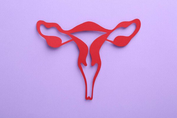 Reproductive medicine. Paper uterus on violet background, top view
