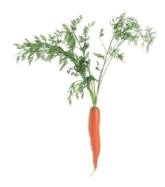 Tasty ripe organic carrot isolated on white