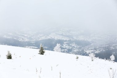 Kışın karla kaplı ağaçların ve kışın karlı dağların manzarası.