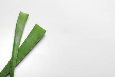 Beyaz arka planda yeşil aloe vera yaprakları, üst manzara. Metin için boşluk