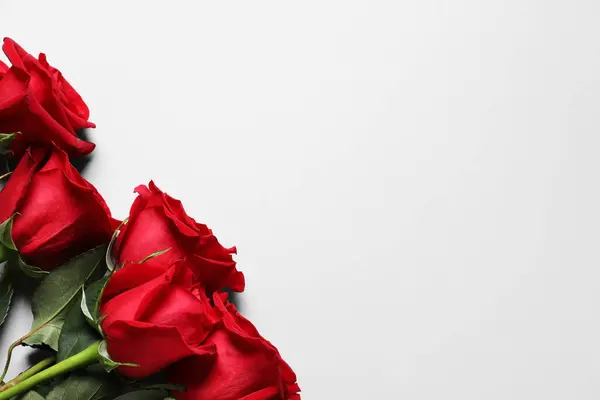 Όμορφα Κόκκινα Τριαντάφυλλα Λευκό Φόντο Κορυφαία Θέα Χώρος Για Κείμενο — Φωτογραφία Αρχείου
