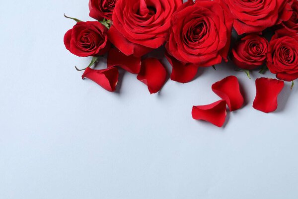 Beautiful red roses and petals on grey background, flat lay. Space for text