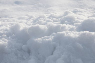 Arkaplan olarak beyaz kar, yakın plan. Kış mevsimi