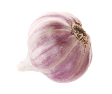 Soyulmamış taze sarımsak başı beyaza izole edilmiş.