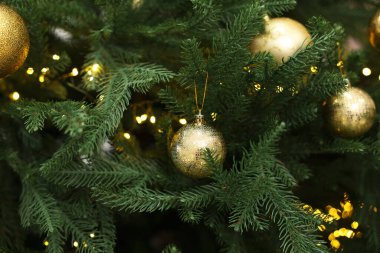 Noel topları köknar ağacında asılı, yakın plan
