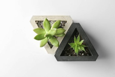 Beyaz masada sulu bitkiler, düz uzanmış.