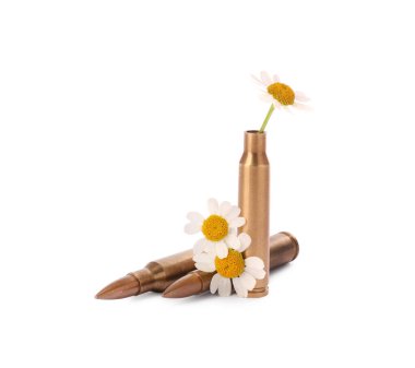 Mermiler ve kartuş kovanı beyaz üzerinde güzel çiçekler var.