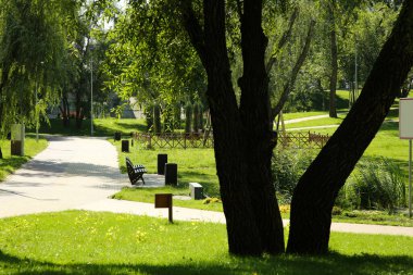 Güneşli bir günde yeşil ağaçlı ve patikalı sessiz bir park.