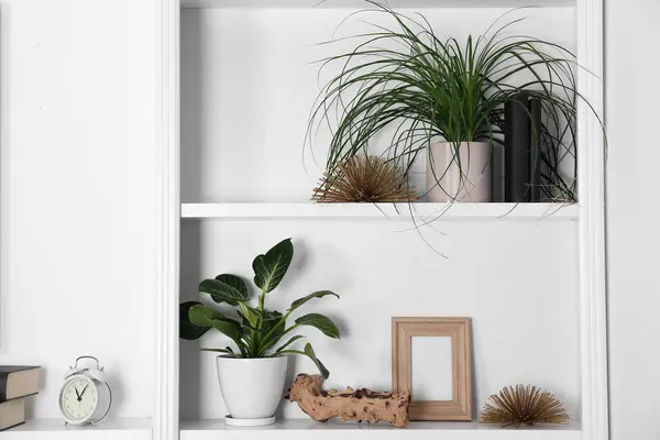 White shelving unit with houseplants and different decor elements in room. Interior design