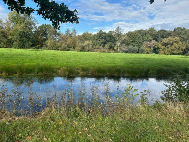 Güzel su kanalı, yeşil çimenler ve ağaçlar parkta