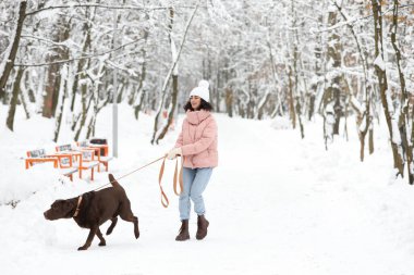 Karlı parkta Labrador Köpeği ile yürüyen bir kadın.