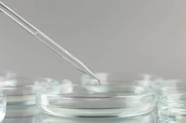Pipetten petri kabına akan sıvı gri arka planda, yakın planda ayna yüzeyinde