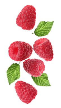 Taze olgun ahududu ve yeşil yapraklar beyaz arka plana dökülüyor.