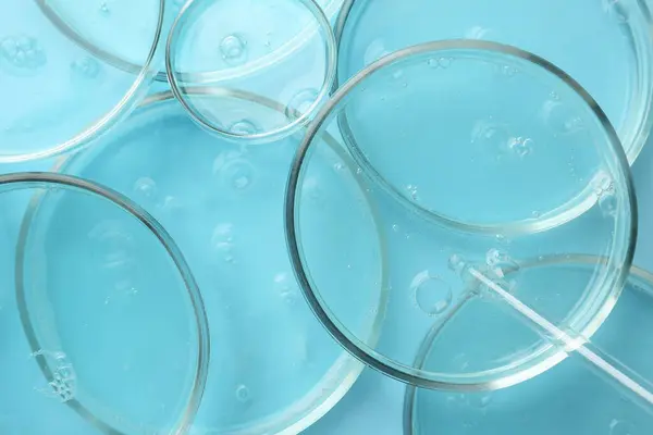 Πιάτα Petri Υγρά Δείγματα Και Πιπέτα Ανοιχτό Μπλε Φόντο Πάνω — Φωτογραφία Αρχείου