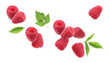 Taze olgun ahududu ve yeşil yapraklar beyaz arka plana dökülüyor.