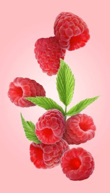 Pembe arka plana düşen taze ahududu ve yeşil yapraklar.