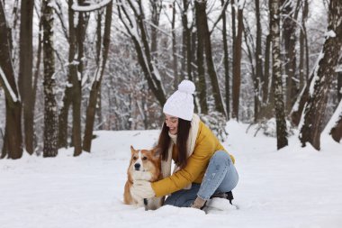 Parkta sevimli Pembroke Galli Corgi köpeği olan bir kadın.