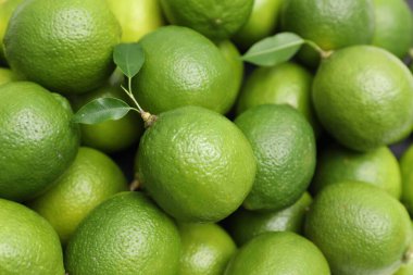 Arka plan olarak yeşil yapraklı bir sürü taze limon, üst görünüm