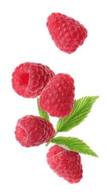 Taze olgun ahududu ve yeşil yapraklar beyaz arka plana dökülüyor.