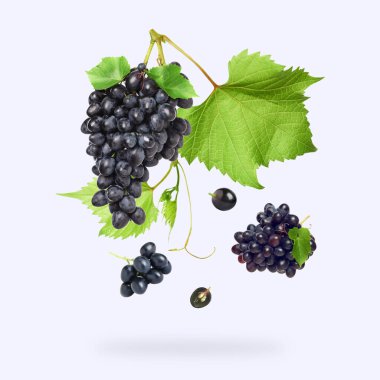 Fresh grapes and vine in air on white background clipart