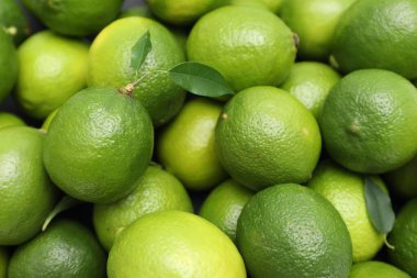 Arka plan olarak yeşil yapraklı bir sürü taze limon, üst görünüm