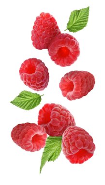 Taze olgun ahududu ve yeşil yapraklar beyaz arka plana dökülüyor.