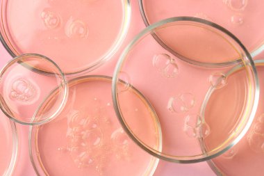 Pembe arka planda sıvı örnekleri olan petri kapları düz.