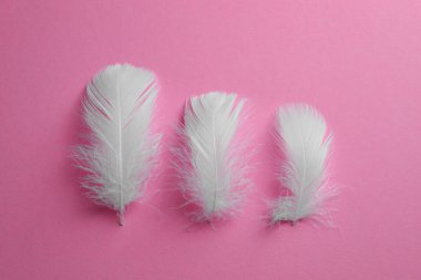 Pembe arka planda tüylü kuş tüyleri, düz uzanmış.