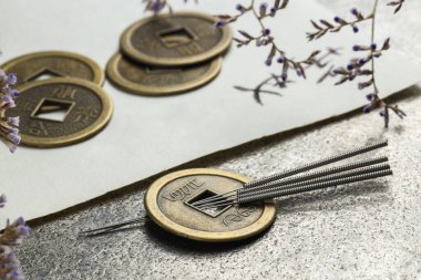 Akupunktur iğneleri, antik madeni paralar, çiçekler ve kağıt üzerinde gri desenli tablodaki karakterler, yakın plan