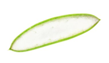 Yeşil aloe vera dilimi beyaza izole edilmiş