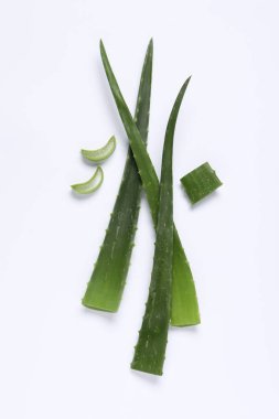 Beyaz arkaplanda aloe vera yapraklarını kes, düz yat