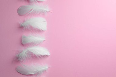 Pembe arka planda bir sürü tüylü kuş tüyü var. Metin için boşluk